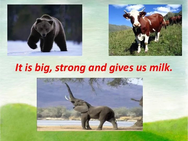 It is big, strong and gives us milk.