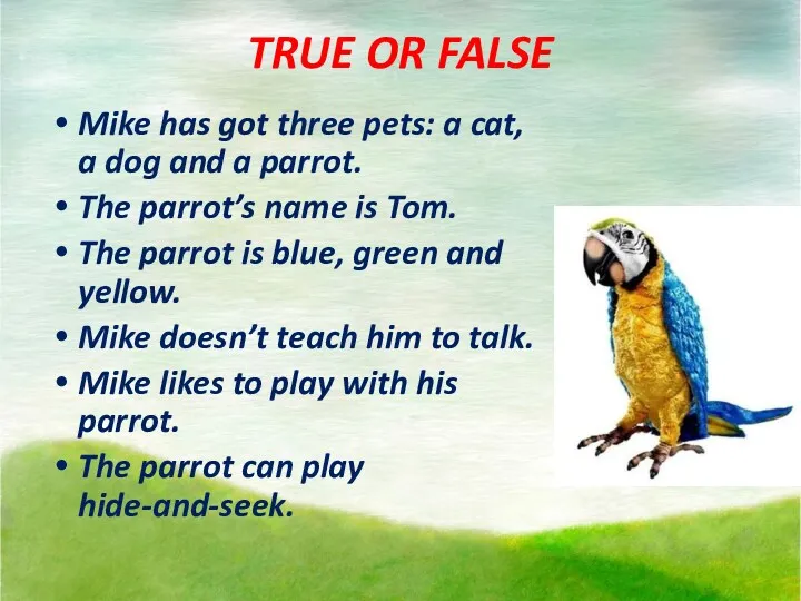 TRUE OR FALSE Mike has got three pets: a cat,