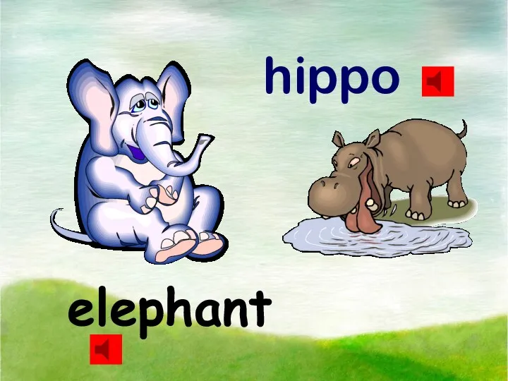 elephant hippo