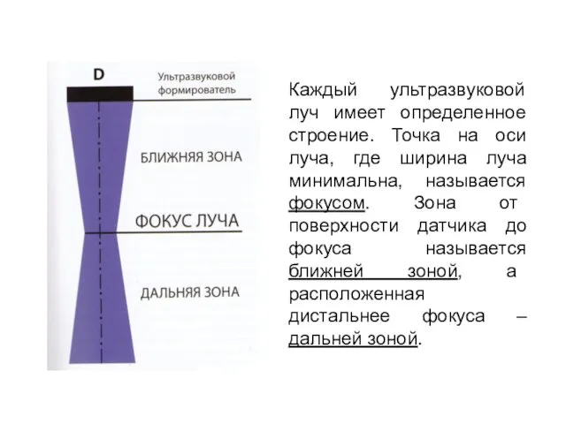 Каждый ультразвуковой луч имеет определенное строение. Точка на оси луча,