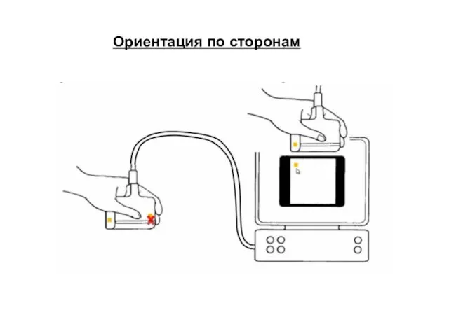 Ориентация по сторонам