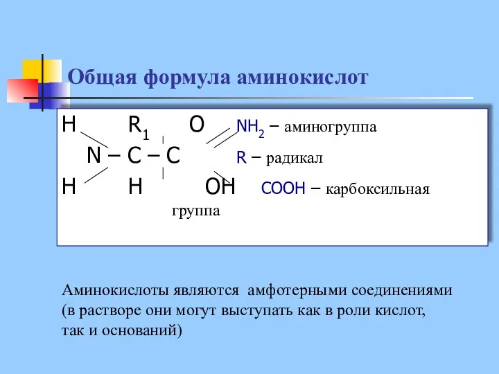 Общая формула аминокислот H R1 O NH2 – аминогруппа N