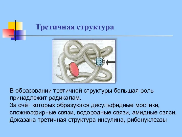 В образовании третичной структуры большая роль принадлежит радикалам. За счёт