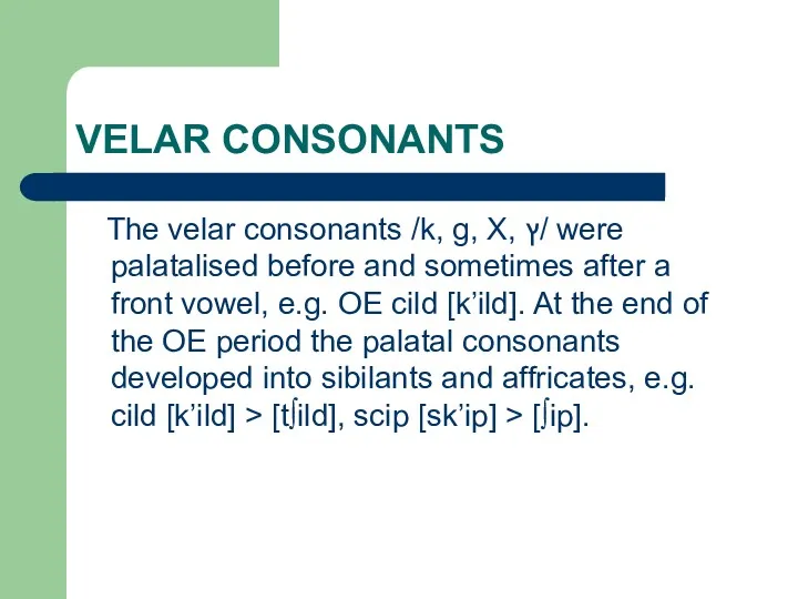 VELAR CONSONANTS The velar consonants /k, g, X, ץ/ were