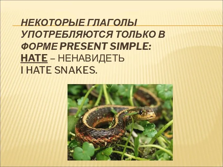 НЕКОТОРЫЕ ГЛАГОЛЫ УПОТРЕБЛЯЮТСЯ ТОЛЬКО В ФОРМЕ PRESENT SIMPLE: HATE – НЕНАВИДЕТЬ I HATE SNAKES.