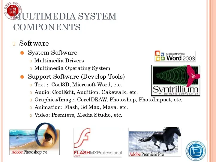 MULTIMEDIA SYSTEM COMPONENTS Software System Software Multimedia Drivers Multimedia Operating