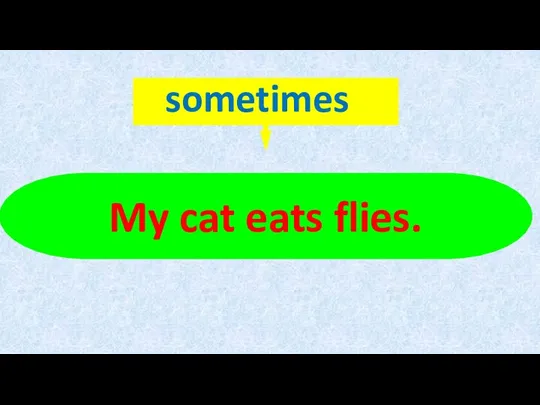 My cat eats flies.