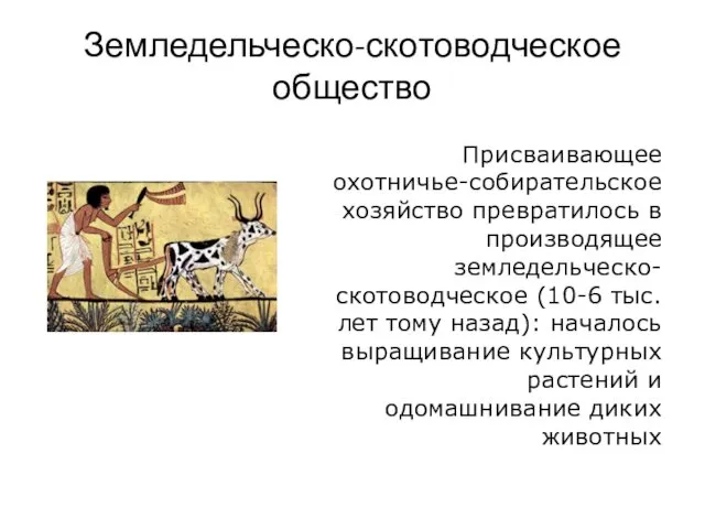 Земледельческо-скотоводческое общество Присваивающее охотничье-собирательское хозяйство превратилось в производящее земледельческо-скотоводческое (10-6