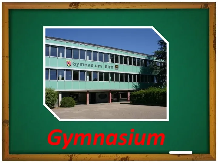 Gymnasium