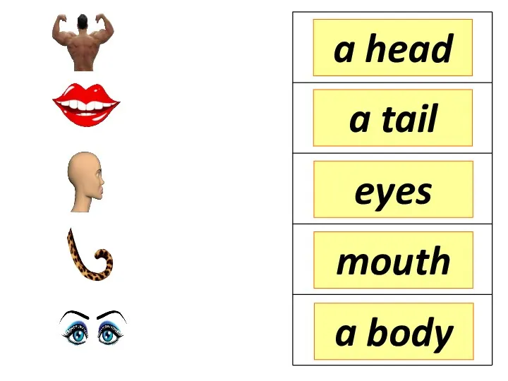 a head a tail eyes a body mouth