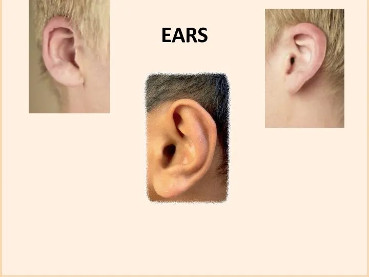 EARS