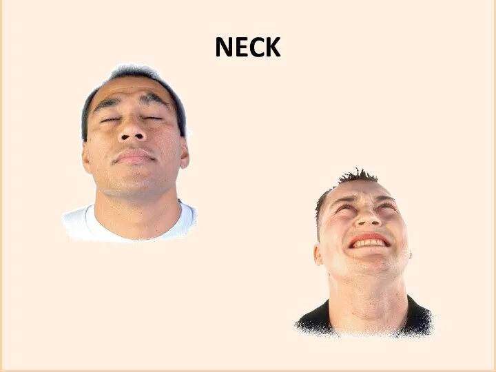 NECK