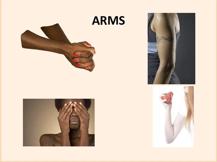 ARMS