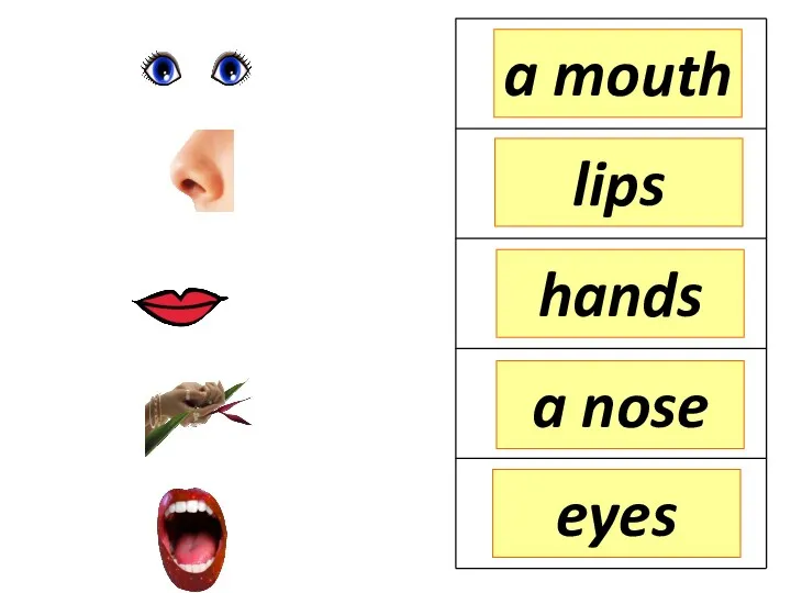 hands lips a mouth a nose eyes