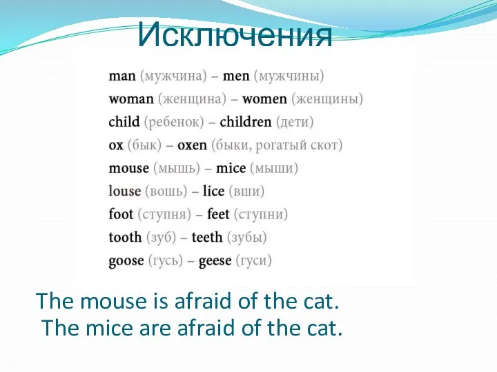 Исключения The mouse is afraid of the cat. The mice are afraid of the cat.
