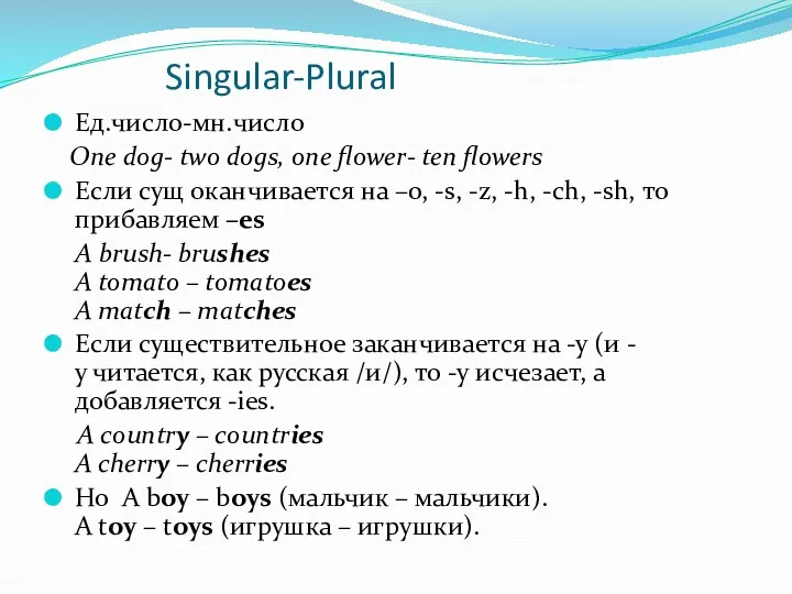 Singular-Plural Ед.число-мн.число One dog- two dogs, one flower- ten flowers