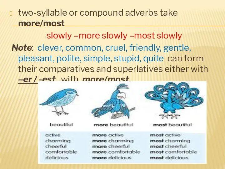 two-syllable or compound adverbs take more/most slowly –more slowly –most
