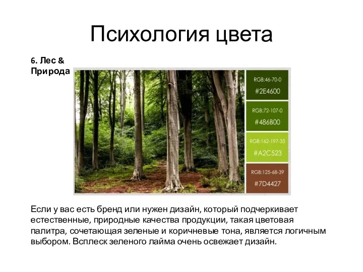 Психология цвета 6. Лес & Природа Если у вас есть