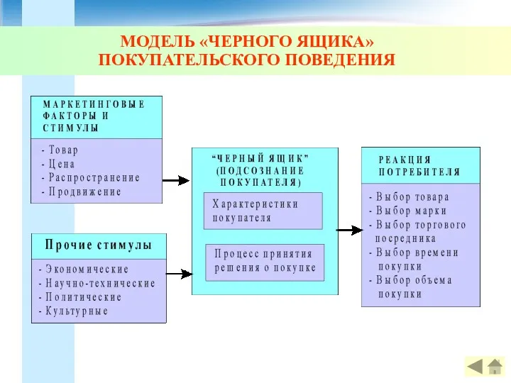 МОДЕЛЬ «ЧЕРНОГО ЯЩИКА» ПОКУПАТЕЛЬСКОГО ПОВЕДЕНИЯ