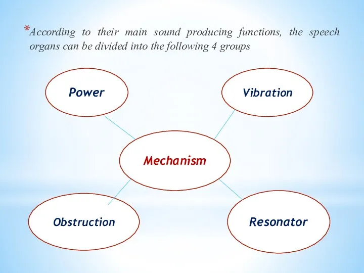 According to their main sound producing functions, the speech organs