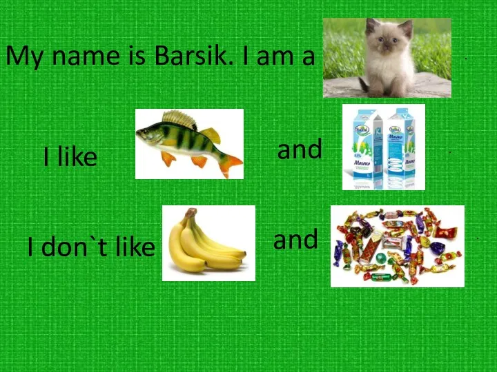 My name is Barsik. I am a I like and