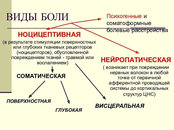 ВИДЫ БОЛИ НОЦИЦЕПТИВНАЯ (в результате стимуляции поверхностных или глубоких тканевых