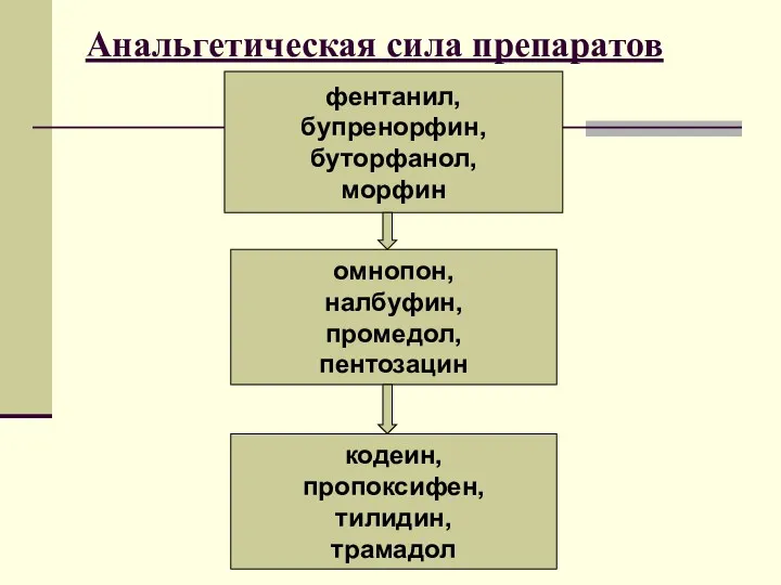 Анальгетическая сила препаратов фентанил, бупренорфин, буторфанол, морфин омнопон, налбуфин, промедол, пентозацин кодеин, пропоксифен, тилидин, трамадол