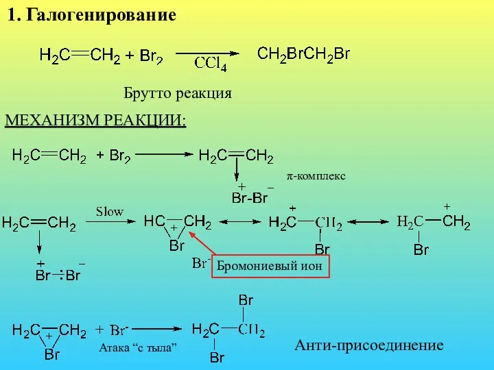 1. Галогенирование Брутто реакция МЕХАНИЗМ РЕАКЦИИ: π-комплекс Бромониевый ион Атака “с тыла” Анти-присоединение