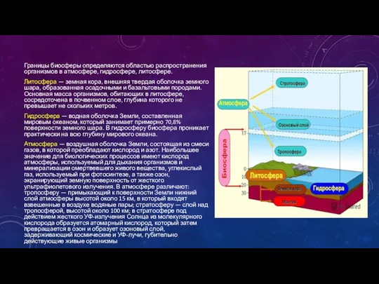 Границы биосферы определяются областью распространения организмов в атмосфере, гидросфере, литосфере.