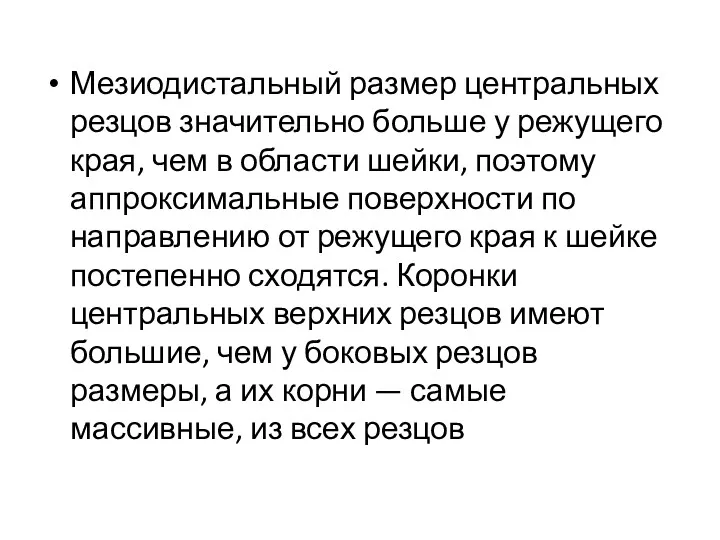 Мезиодистальный размер центральных резцов значительно больше у режущего края, чем