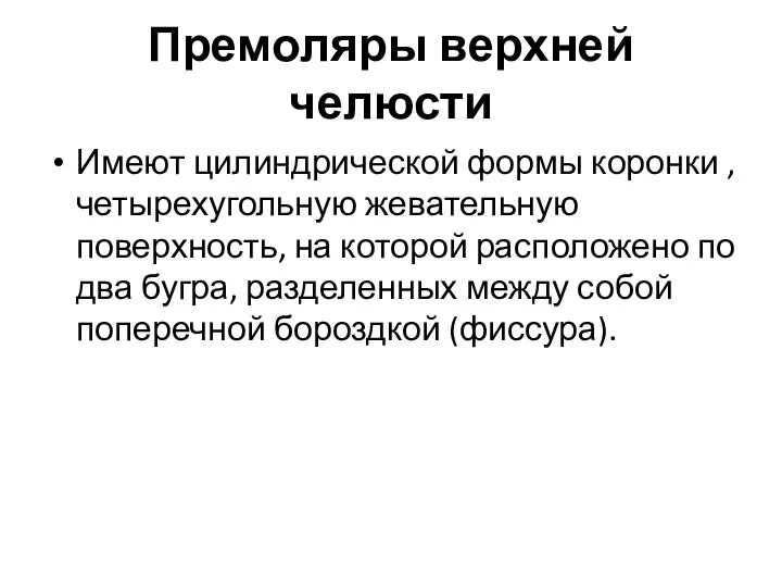 Премоляры верхней челюсти Имеют цилиндрической формы коронки , четырехугольную жевательную