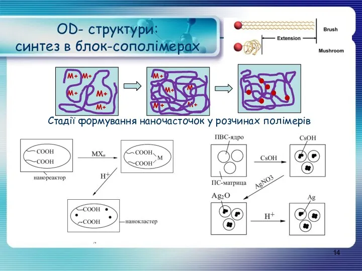 OD- структури: синтез в блок-сополімерах Стадії формування наночасточок у розчинах