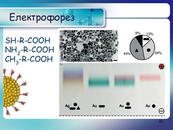 Електрофорез SH-R-COOH NH2-R-COOH CH3-R-COOH