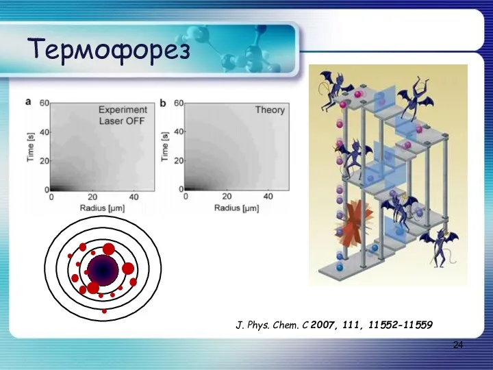 Термофорез J. Phys. Chem. C 2007, 111, 11552-11559