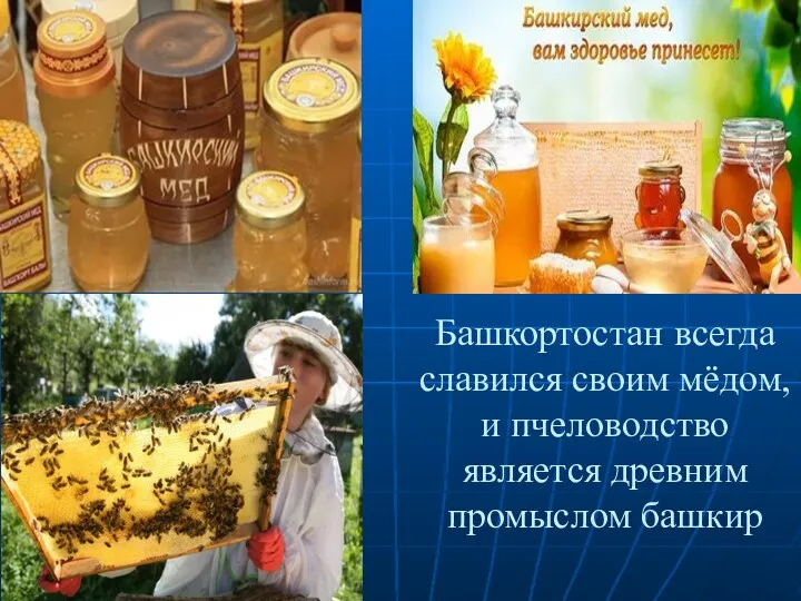 Башкортостан всегда славился своим мёдом, и пчеловодство является древним промыслом башкир