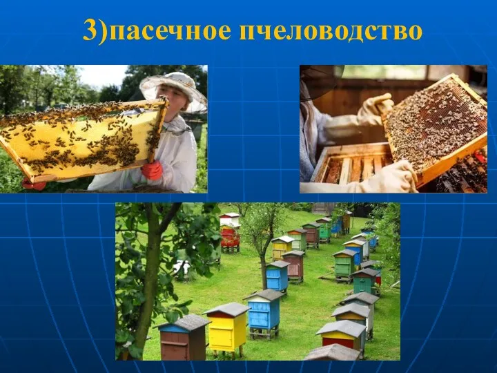 3)пасечное пчеловодство