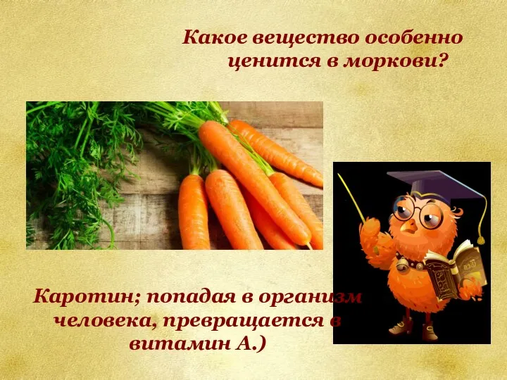 Какое вещество особенно ценится в моркови? Каротин; попадая в организм человека, превращается в витамин А.)