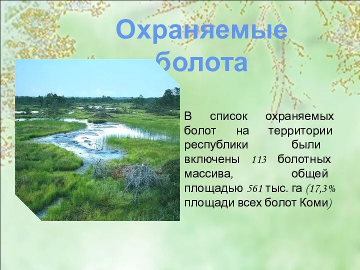 В список охраняемых болот на территории республики были включены 113