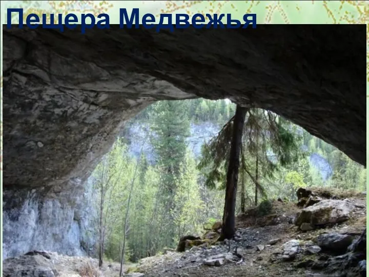 Пещера Медвежья