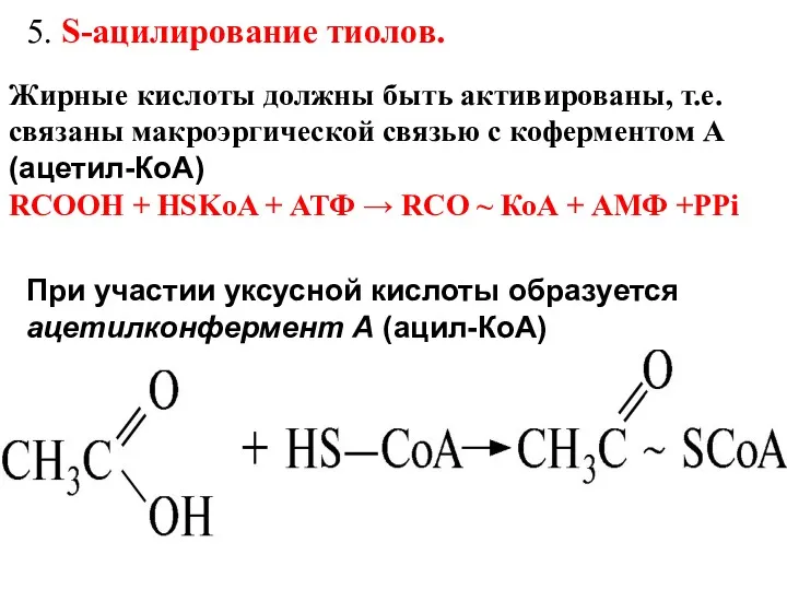 5. S-ацилирование тиолов. При участии уксусной кислоты образуется ацетилконфермент А