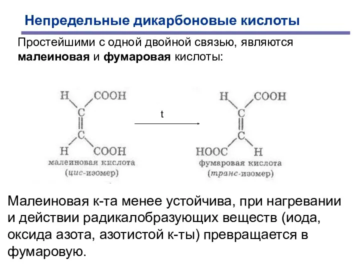 Непредельные дикарбоновые кислоты Простейшими с одной двойной связью, являются малеиновая