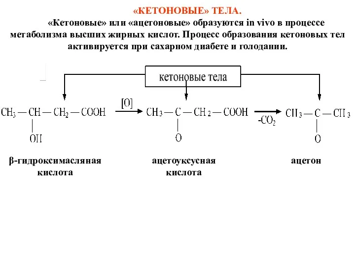 «КЕТОНОВЫЕ» ТЕЛА. «Кетоновые» или «ацетоновые» образуются in vivo в процессе
