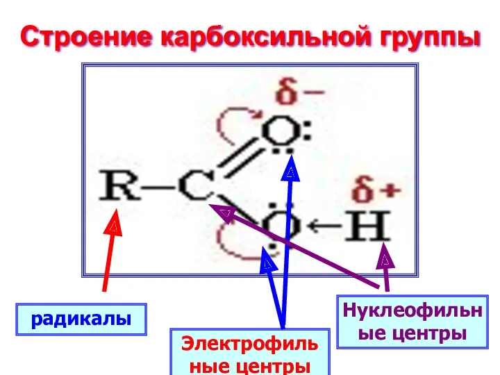 Строение карбоксильной группы радикалы Нуклеофильные центры Электрофильные центры