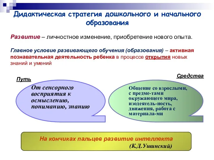 Дидактическая стратегия дошкольного и начального образования От сенсорного восприятия к