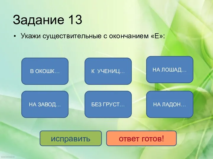 Задание 13 Укажи существительные с окончанием «Е»: В ОКОШК… НА