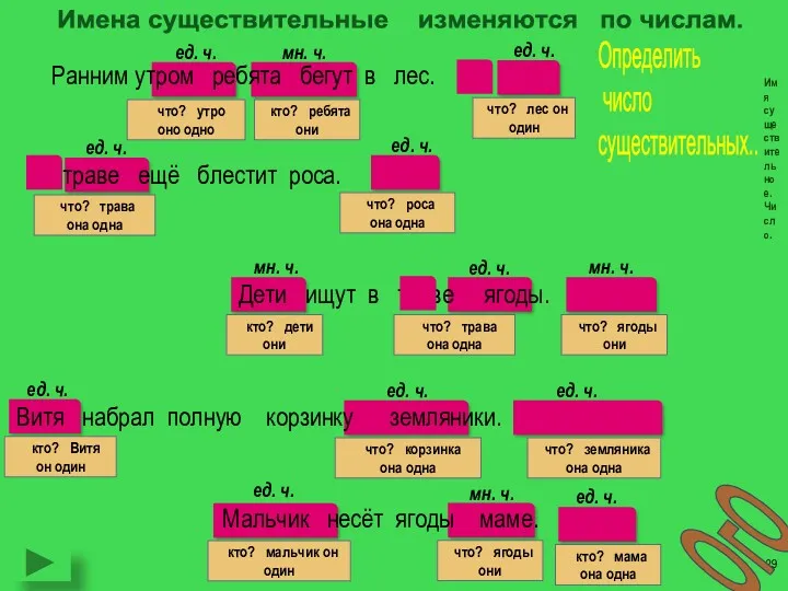 Имена существительные изменяются по числам. Имя существительное. Число. Ранним утром