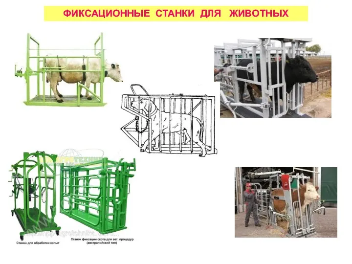 ФИКСАЦИОННЫЕ СТАНКИ ДЛЯ ЖИВОТНЫХ