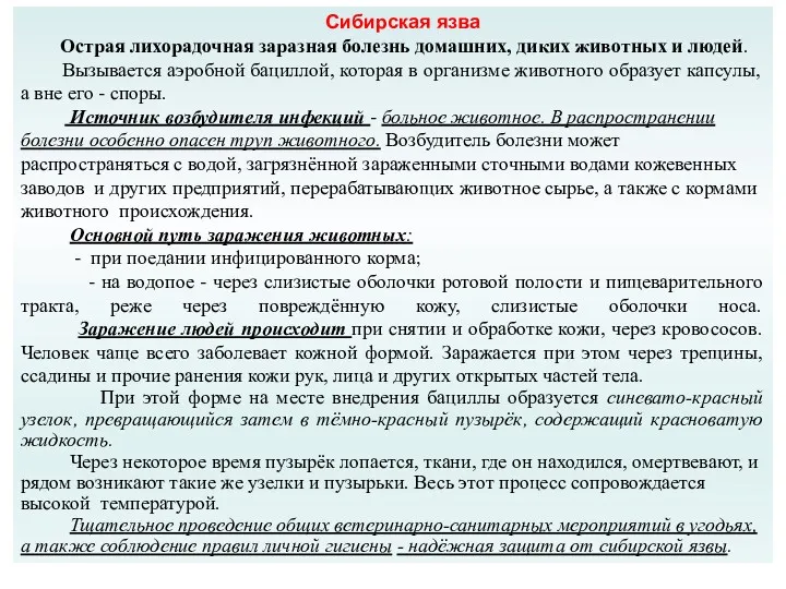 Сибирская язва Острая лихорадочная заразная болезнь домашних, диких животных и