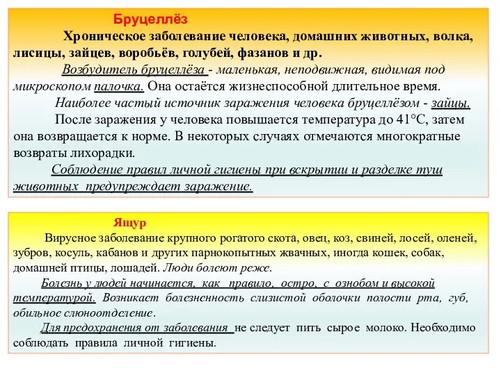 Бруцеллёз Хроническое заболевание человека, домашних животных, волка, лисицы, зайцев, воробьёв,