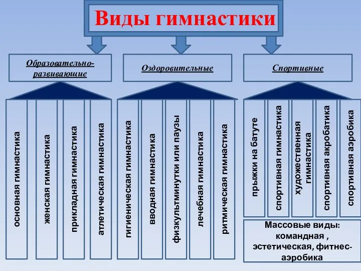 Виды гимнастики Образовательно-развивающие Оздоровительные Спортивные основная гимнастика женская гимнастика прикладная